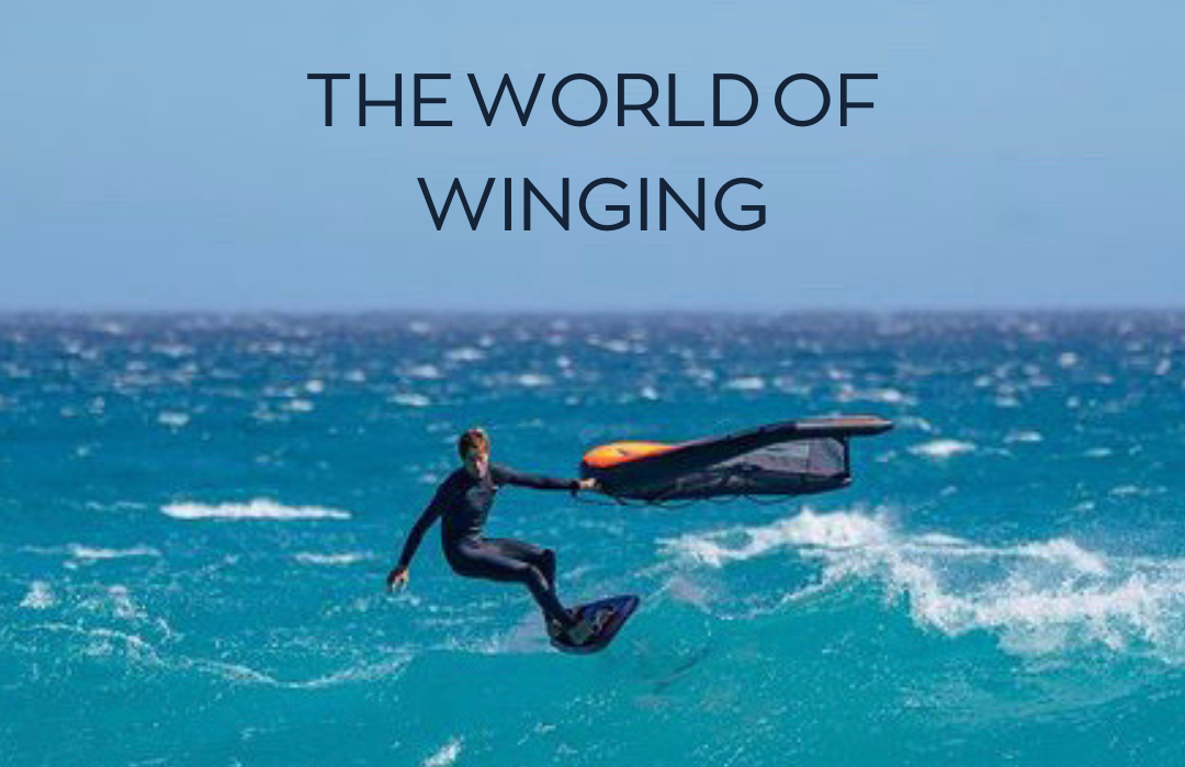 The World of Winging