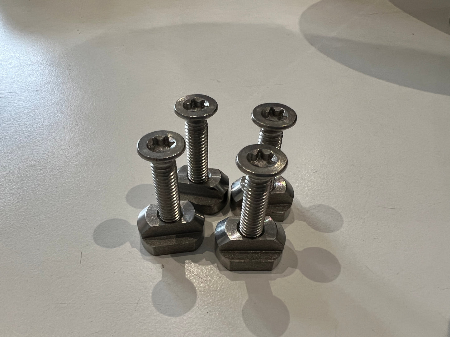4x M6 Tracknuts with 4x 30mm M6 bolts