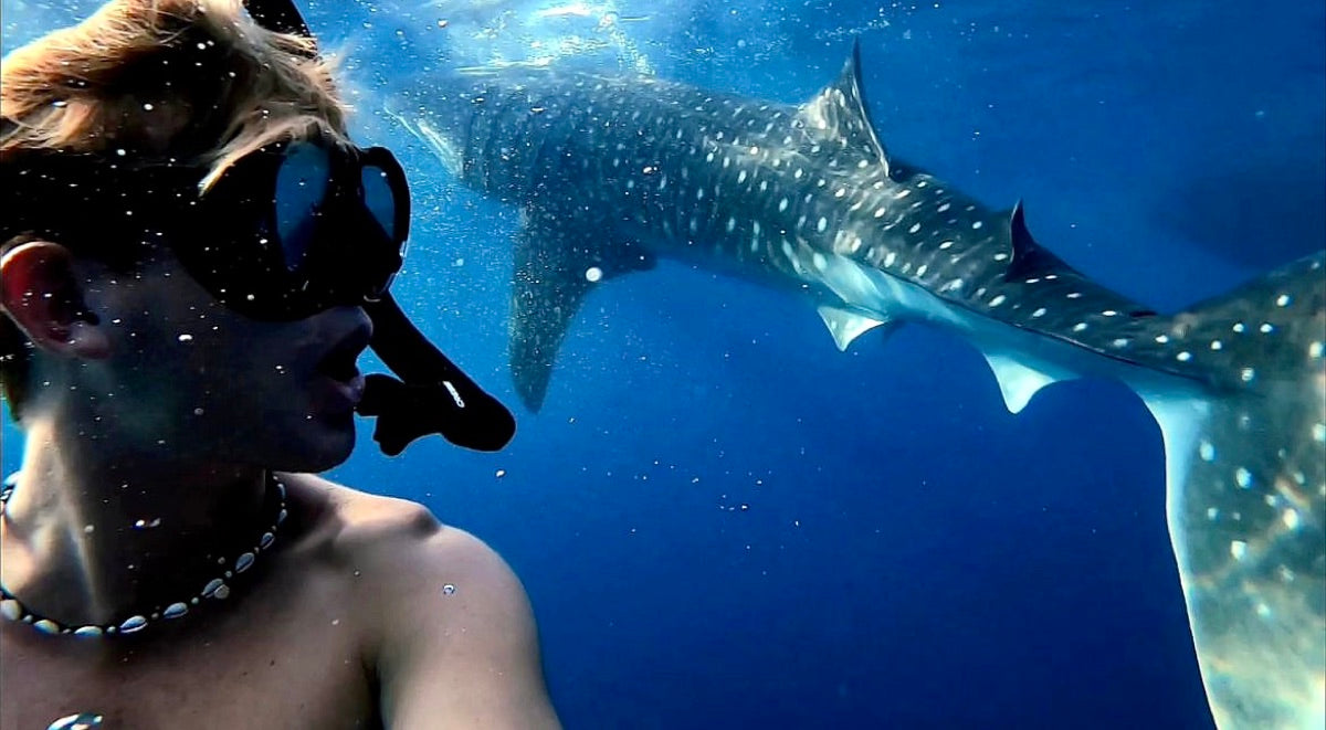 Jack Francis